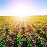 Solar Pest Repellent for Garden