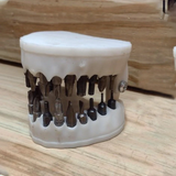 Denture Drill Holder