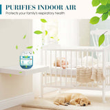 🔥 Limited-Time Pre-Sale⏰Indoor Air Purification Dust Removal Magic Box🏠