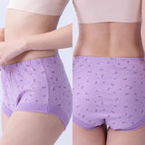 High-Waist Ladies Cotton Panties Plus Sizes💥5pcs Only $29.98 Today🔥