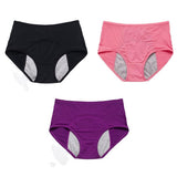 🌸Last Day-Buy 1 Get 3 Packs🔥 Best Seller High Waist Leak proof panties