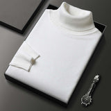 HOT SALE-50% OFF ✨Men's Solid Color Premium Turtleneck Sweater👔