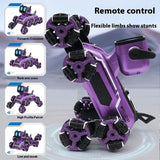 🔥(FREE SHIPPING)Intelligent Mechanical Dog Changeable Remote Control Singing Toy