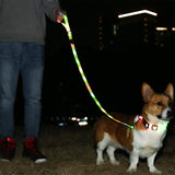 LED light-emitting dog collar leash chest harness waterproof charging