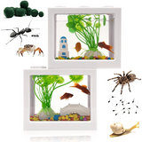 Miniature Aquarium Transparent Fish Tank