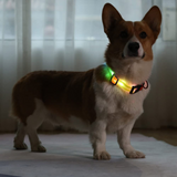 LED light-emitting dog collar leash chest harness waterproof charging