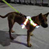 LED light-emitting dog collar traction rope chest strap size size universal