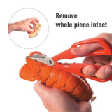 Copy of Seafood Scissors