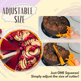 Adjustable Cake Divider