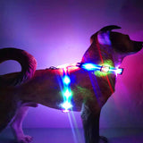 LED light-emitting dog collar leash chest harness waterproof charging