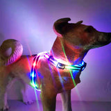 LED light-emitting dog collar leash chest harness waterproof charging