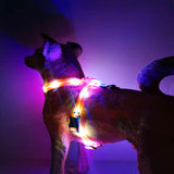 LED light-emitting dog collar leash chest harness waterproof charging